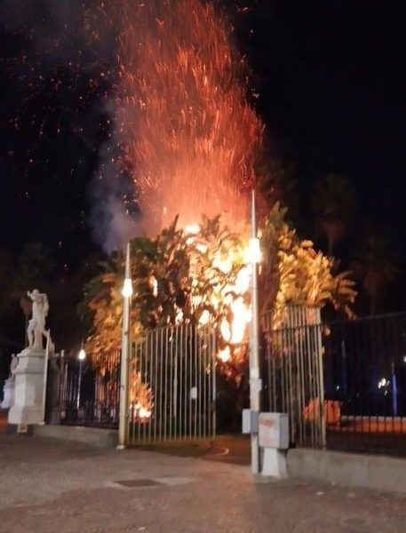 alberi in fiamme: Incendio Napoli